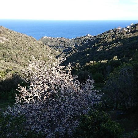 Ville-di-Pietrabugno A Tana Di A Volpe 아파트 외부 사진